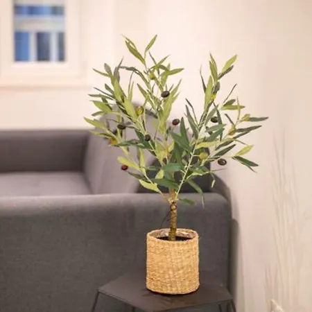 Apartment Canta I